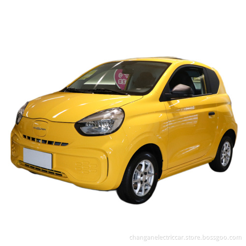 Pure electric vehicle CLEVER